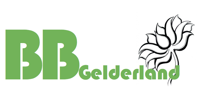 Beschermingsbewind Gelderland